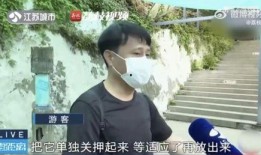 网红吃瓜看戏,揭秘娱乐圈幕后风云